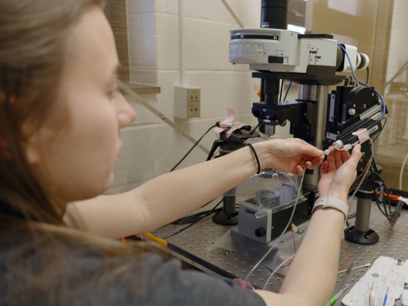 Avery Sicher working in a neuroscience lab