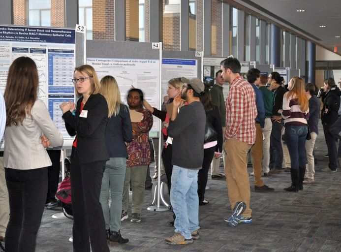 Students present their posters at the Gamma Sigma Delta Research Expo