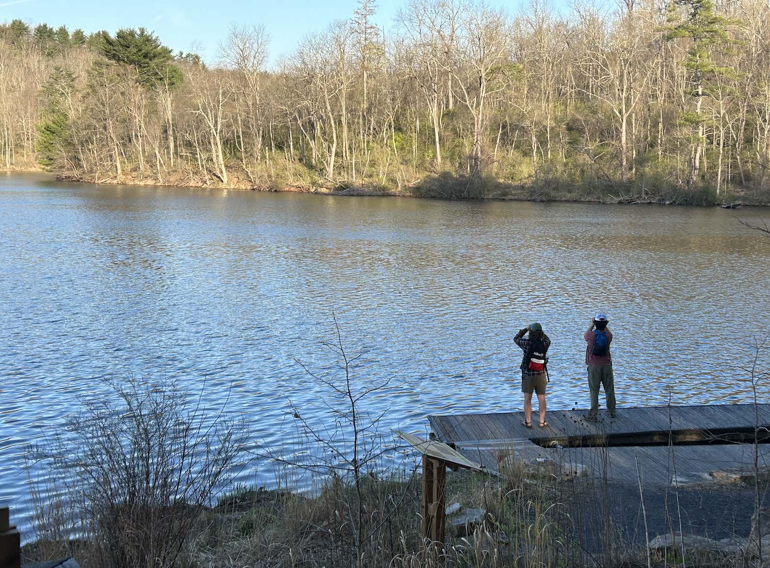 Birders look out over a lake