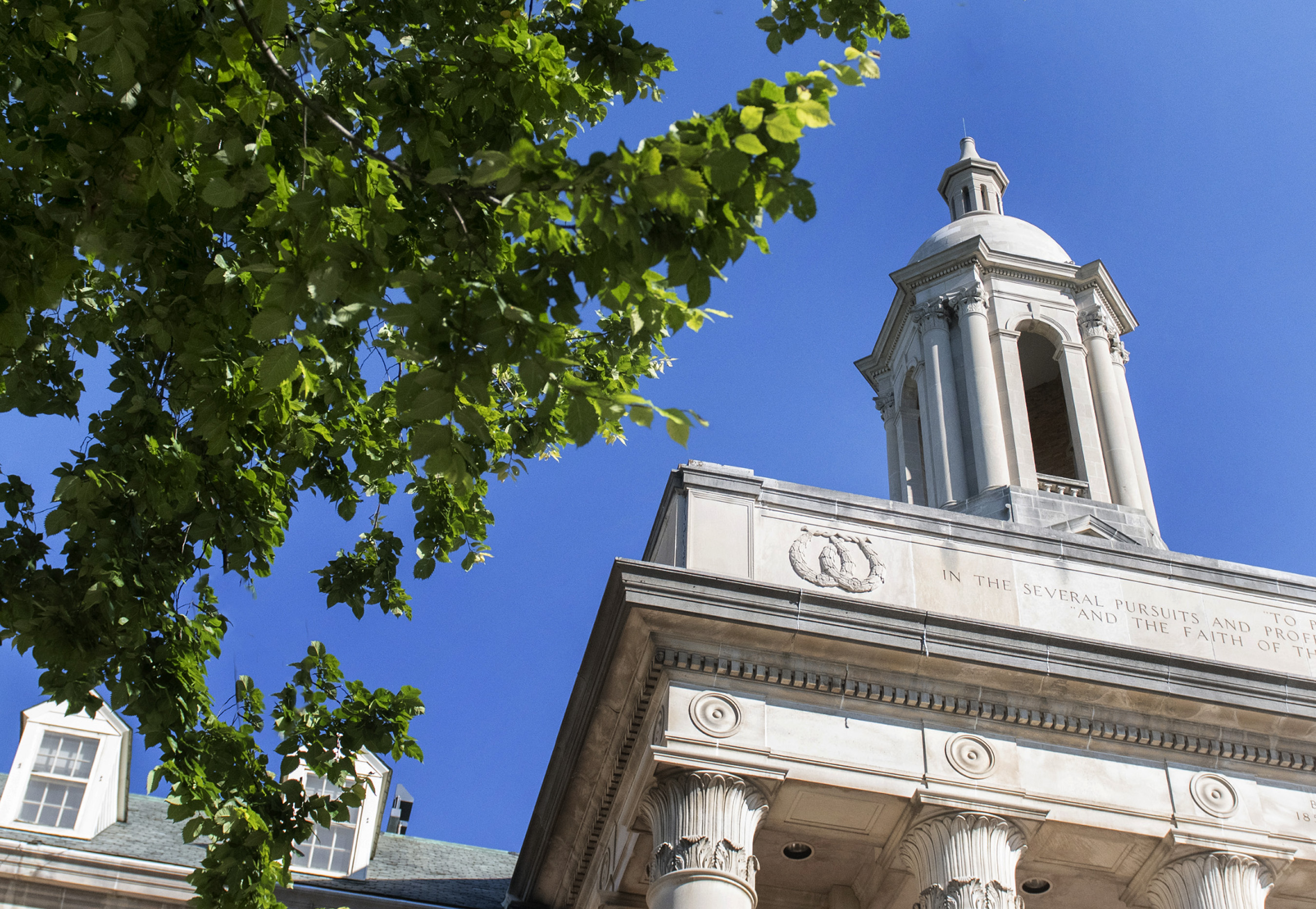 Old Main bell tower with a leafy branch to the left