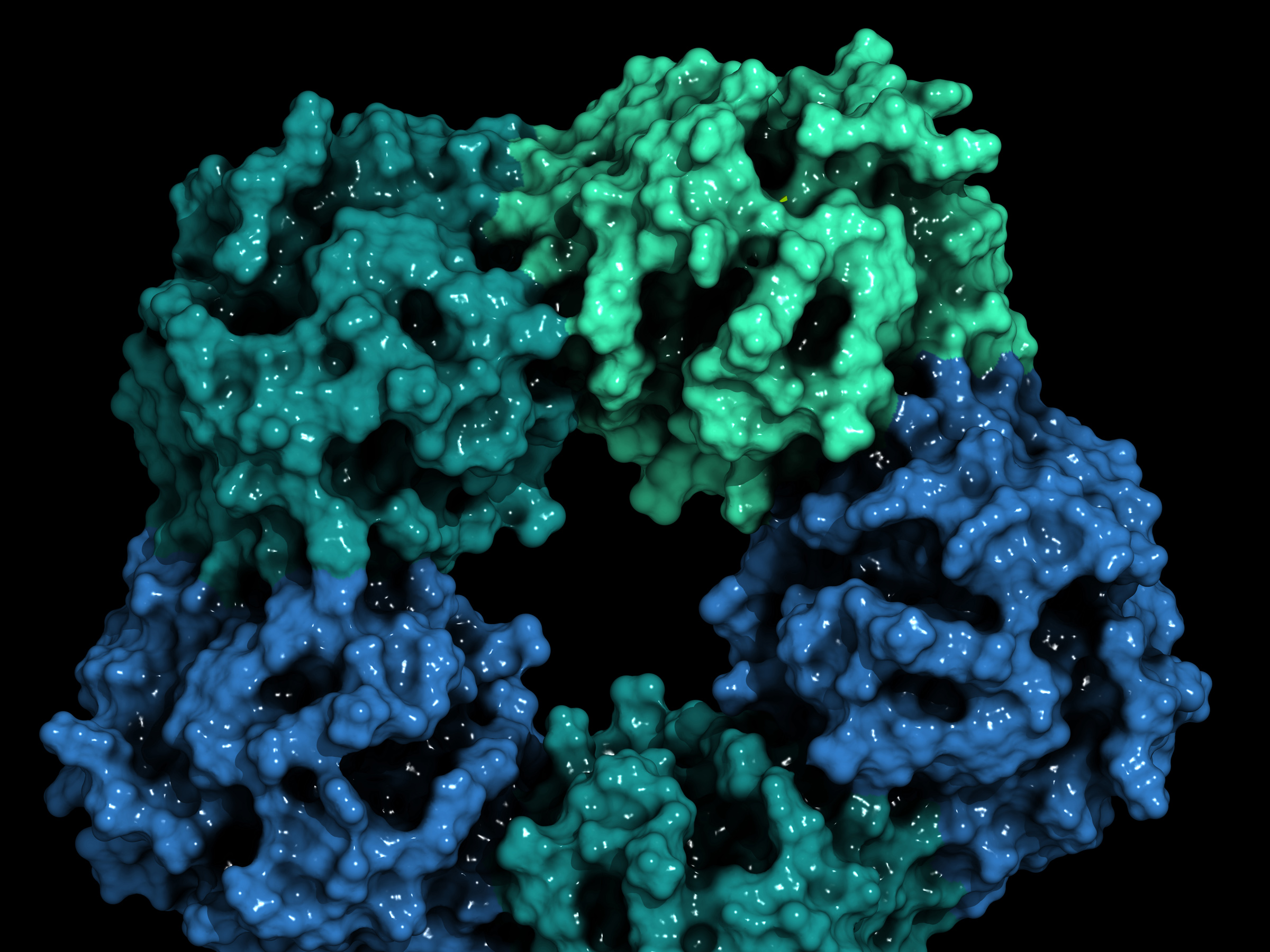 Illustration of a protein