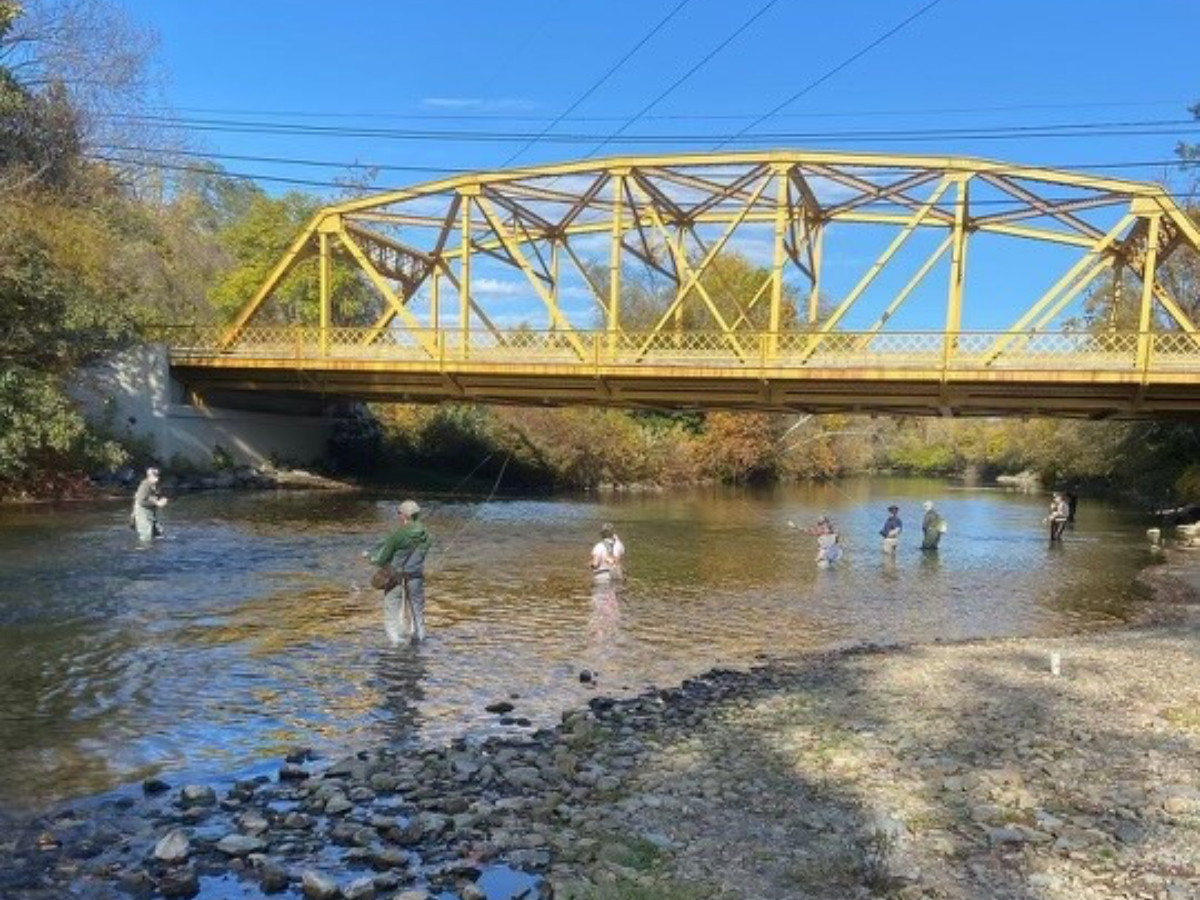 Several members of the fly fishing club stand in a creek under a bridge