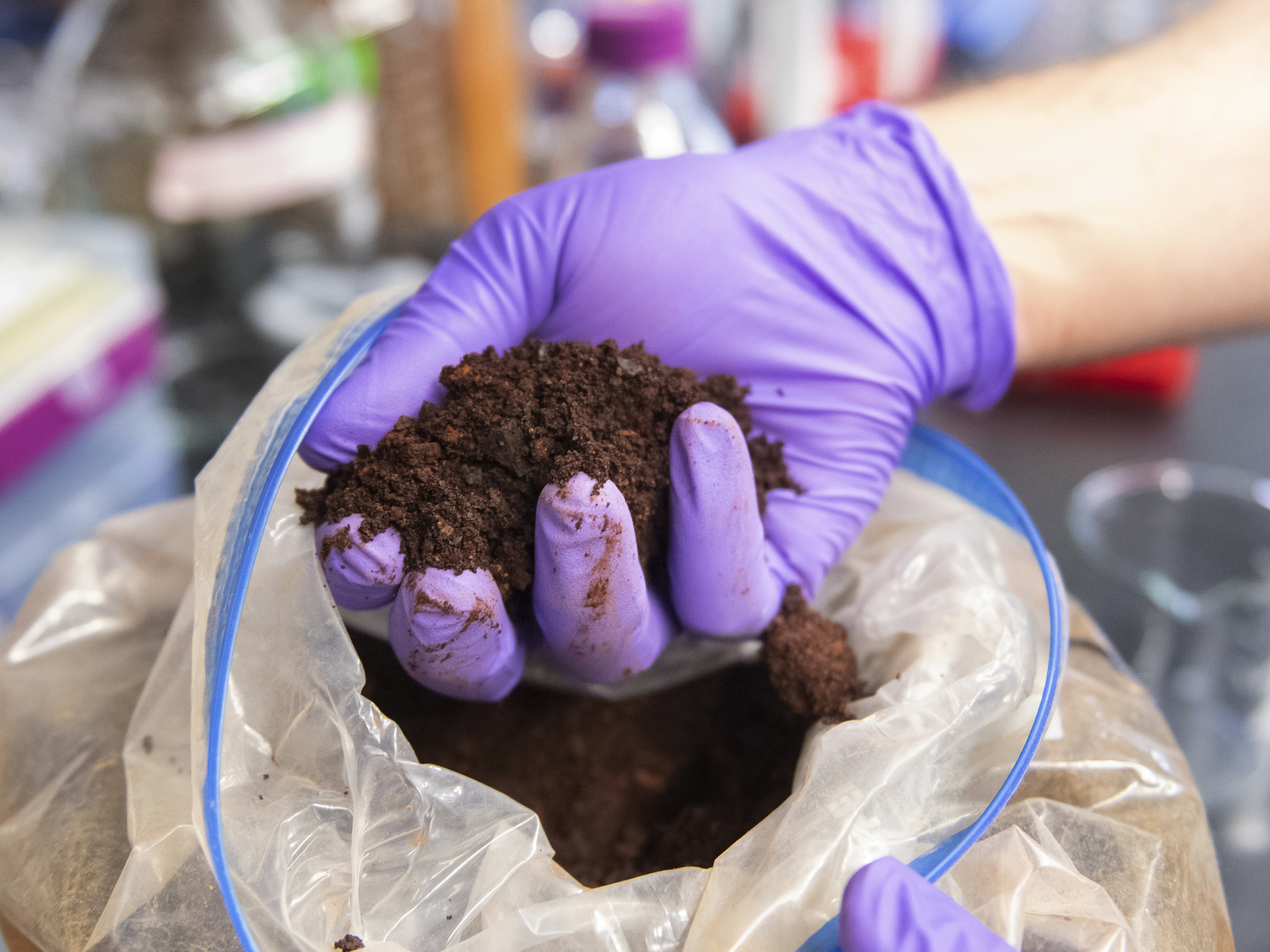 Hand holding soil