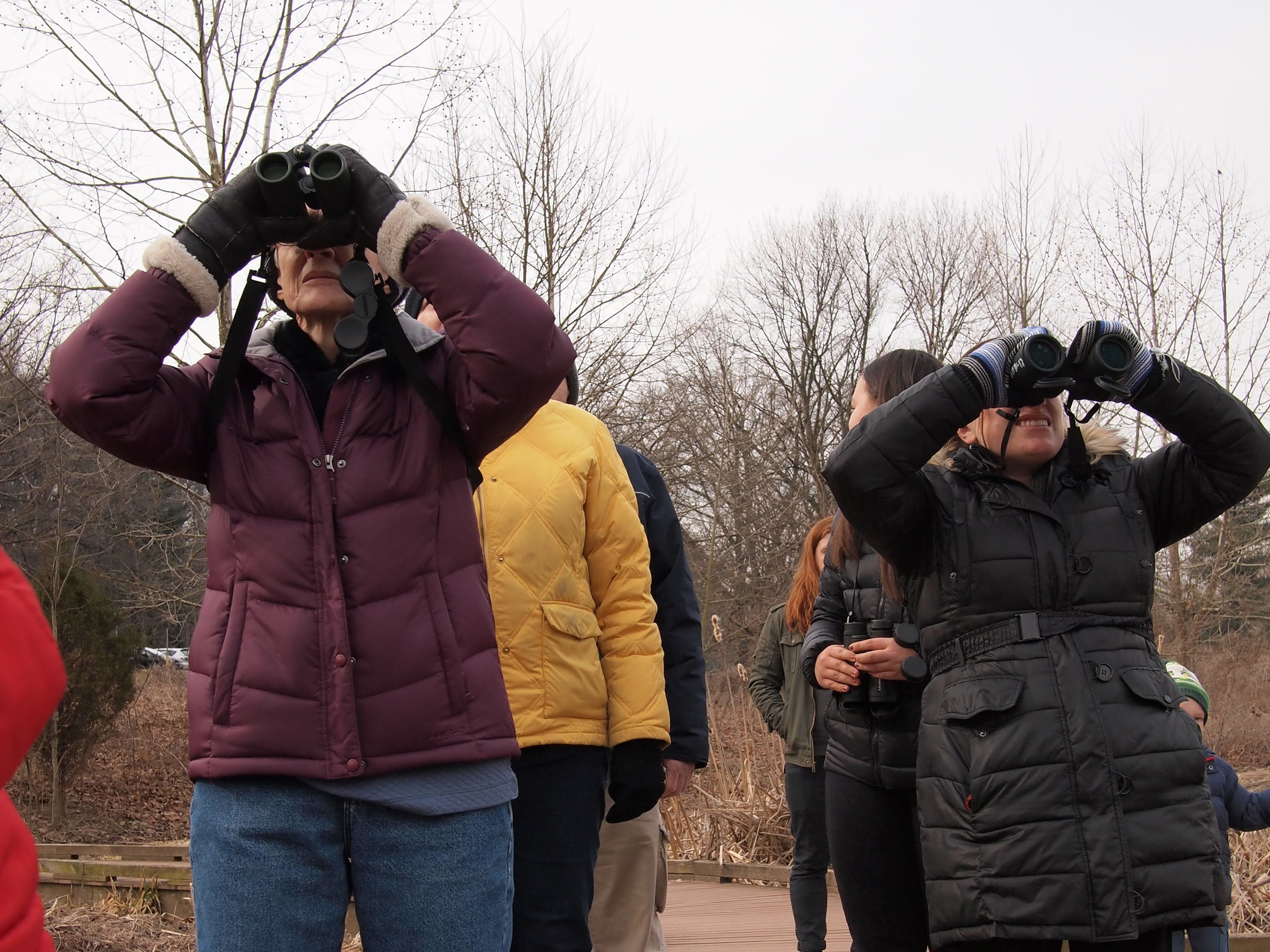 Berks biodiversity and birdwatchin