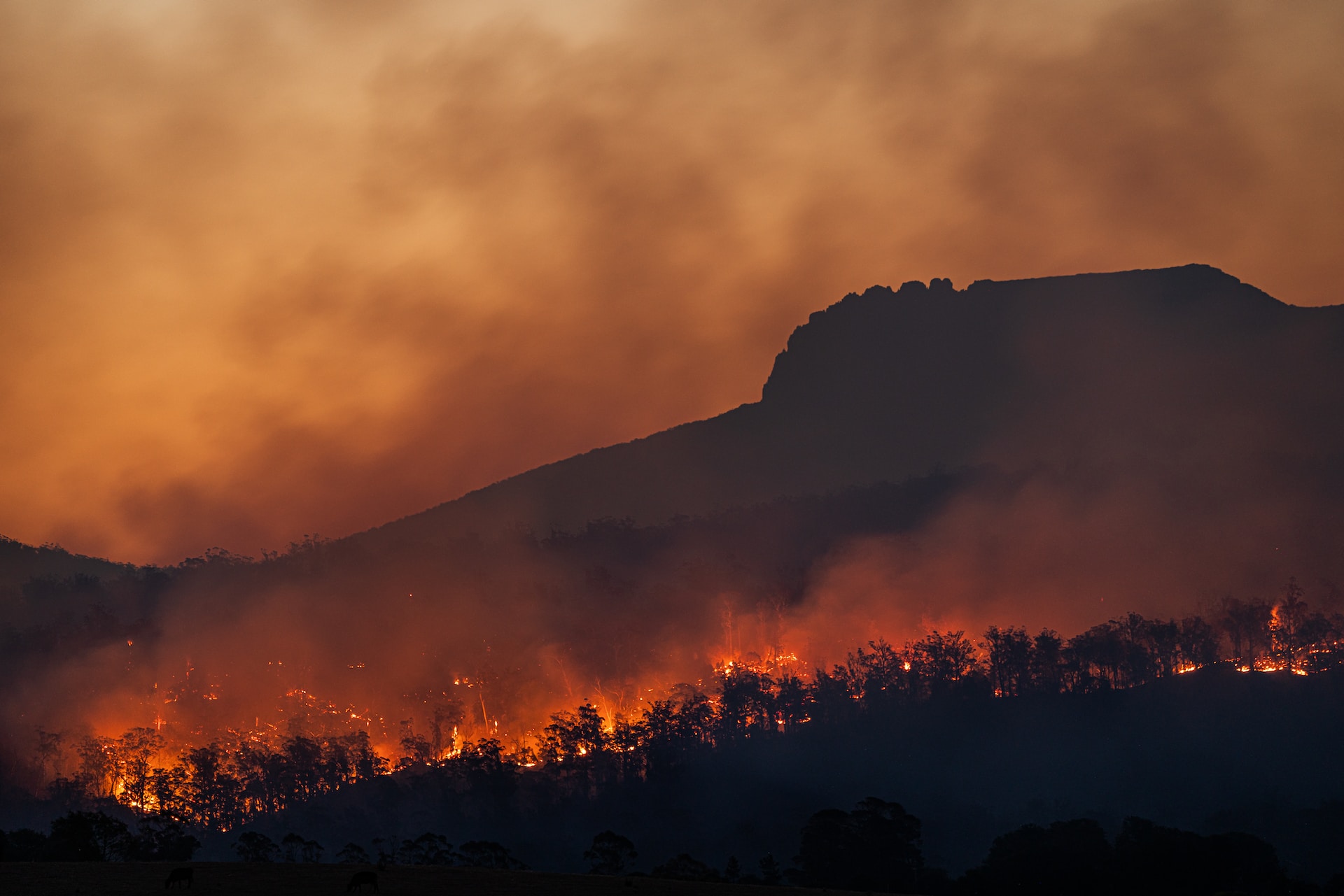 Landscape photo of a mountain rage experiencing a forest fire