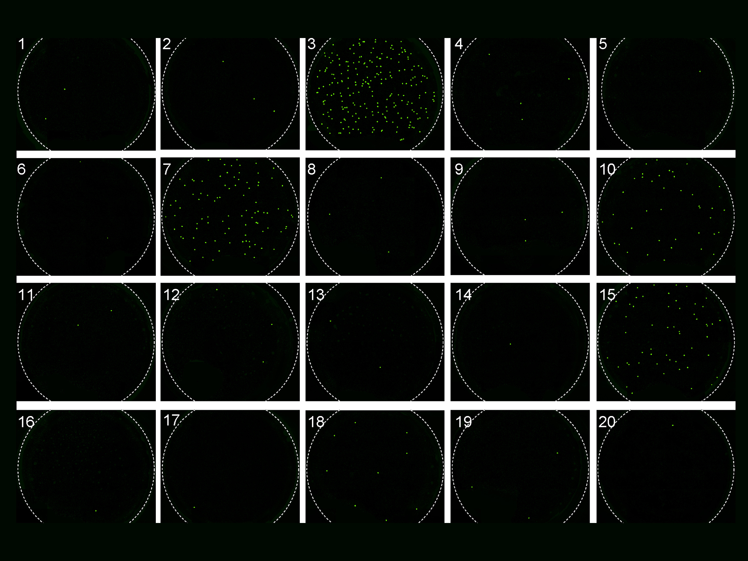 A grid of black circles with some displaying green dots.