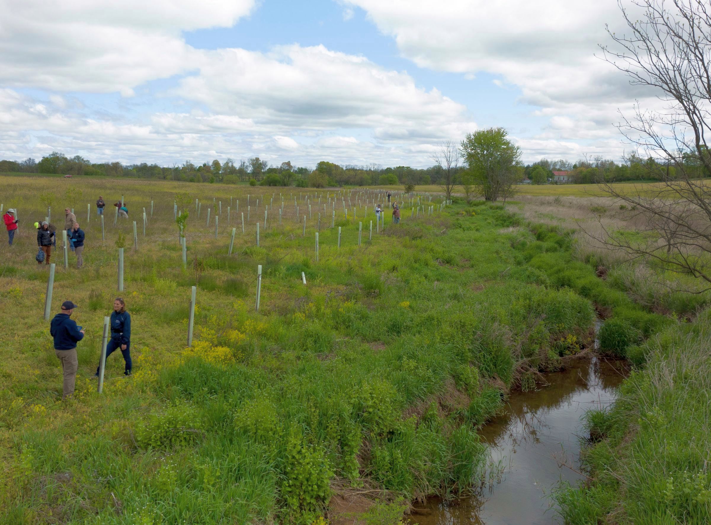 riparian buffer May 2023