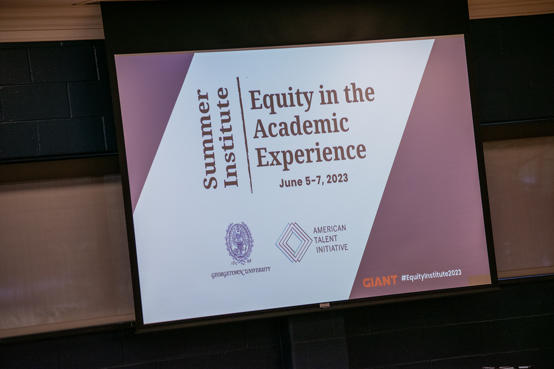 Powerpoint Screen that reads "Summer Institute Equity in the Academic Experience"