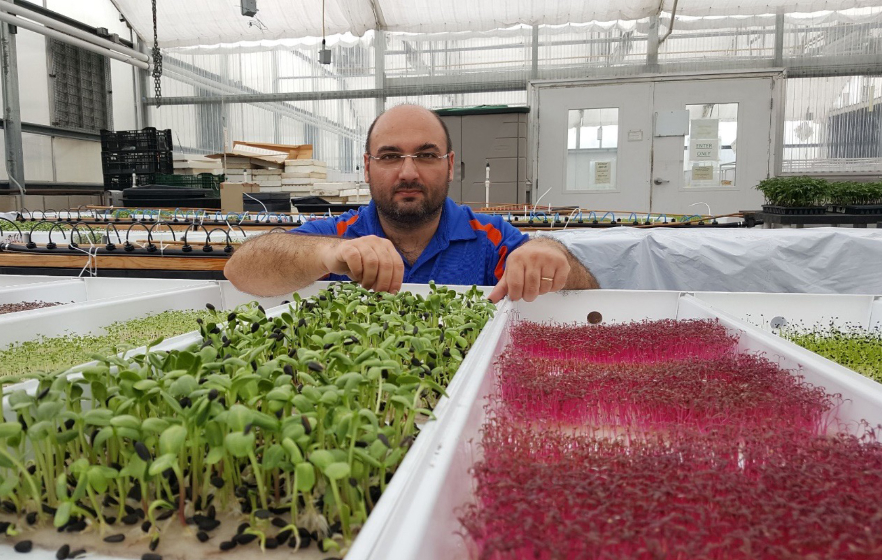 researcher with plants