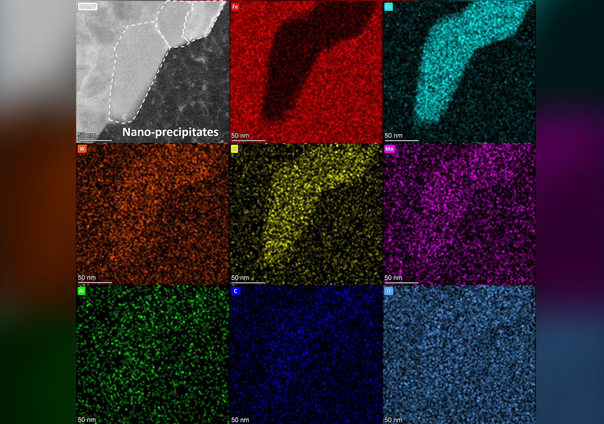 Grid of different colors representing different microscopic imaging.