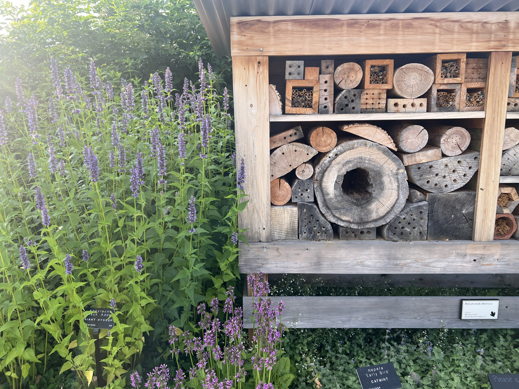 Solitary bee hotel in the Arboretum at Penn State