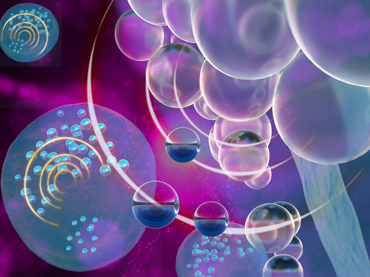 Nano-sized bubbles allow macrophages to stand out from their fellow cells in ultrasound imagery.  