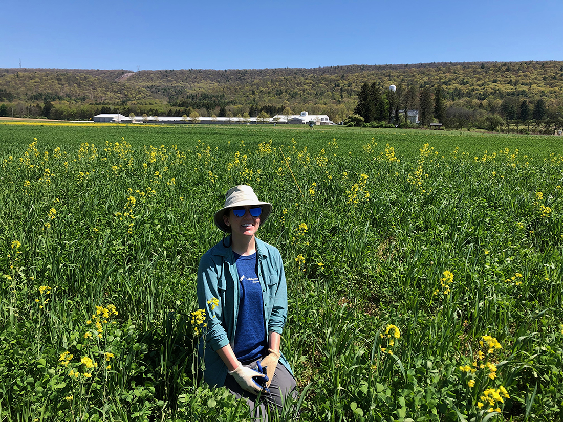 Person in a field