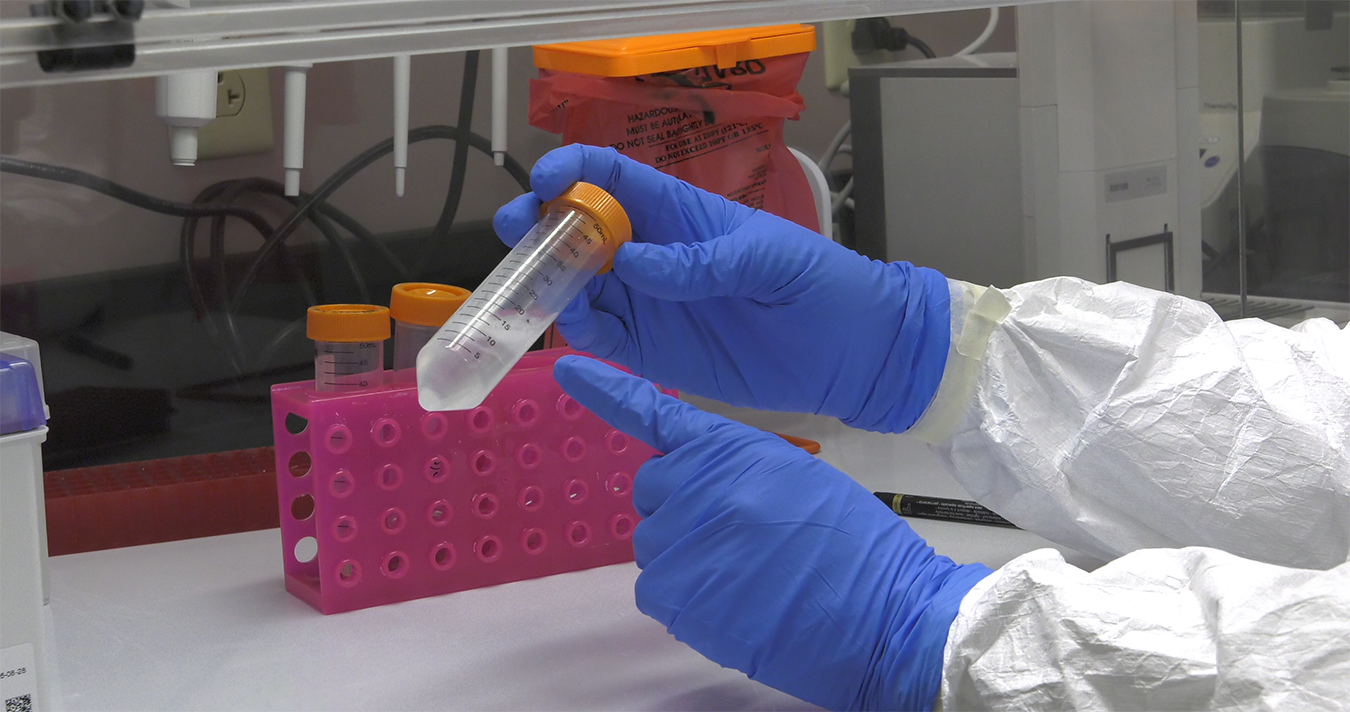 Gloved hands pointing to liquid contents in a vial