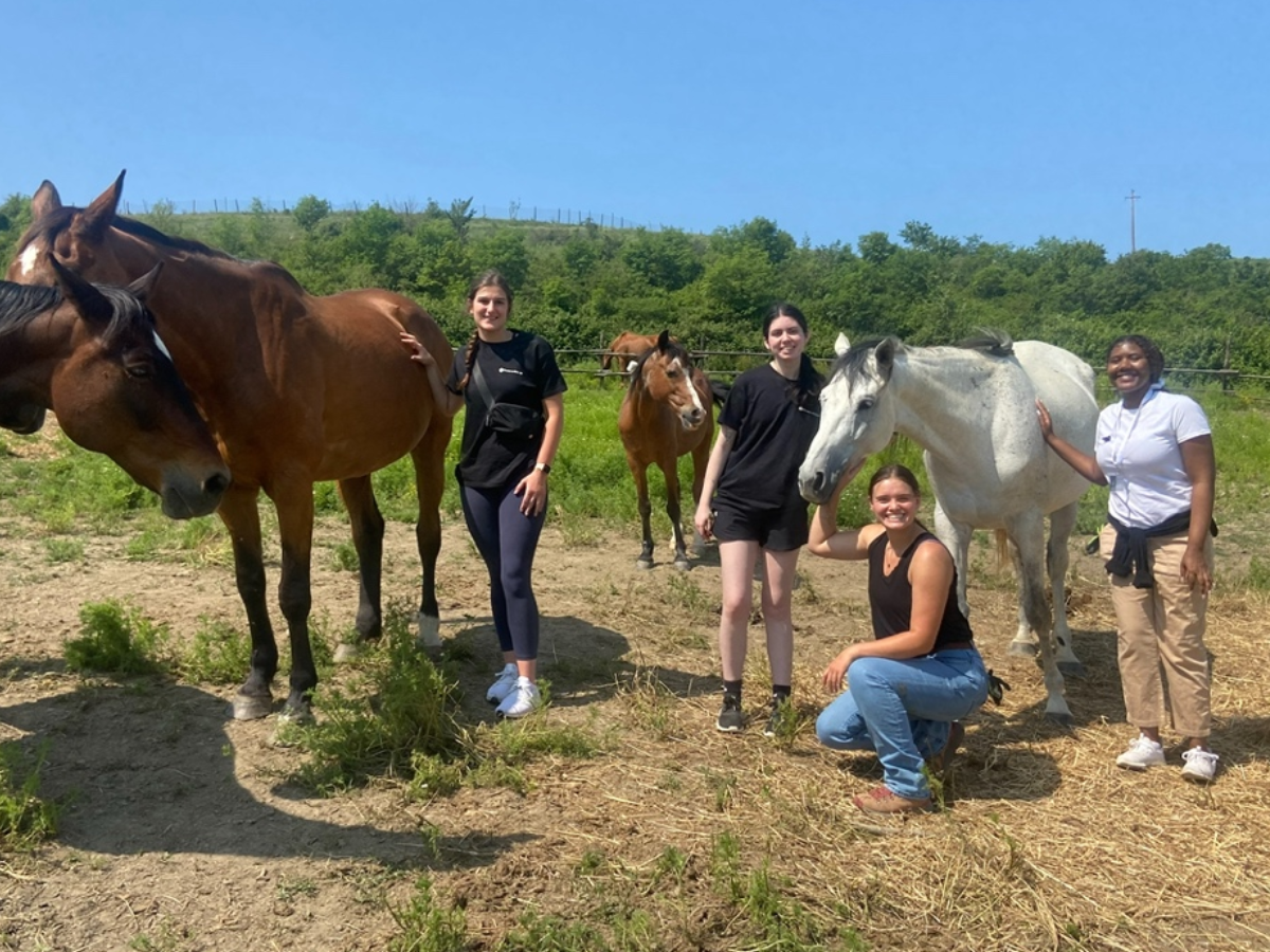 Students stand with horses on the Italian countryside during their fellowship program