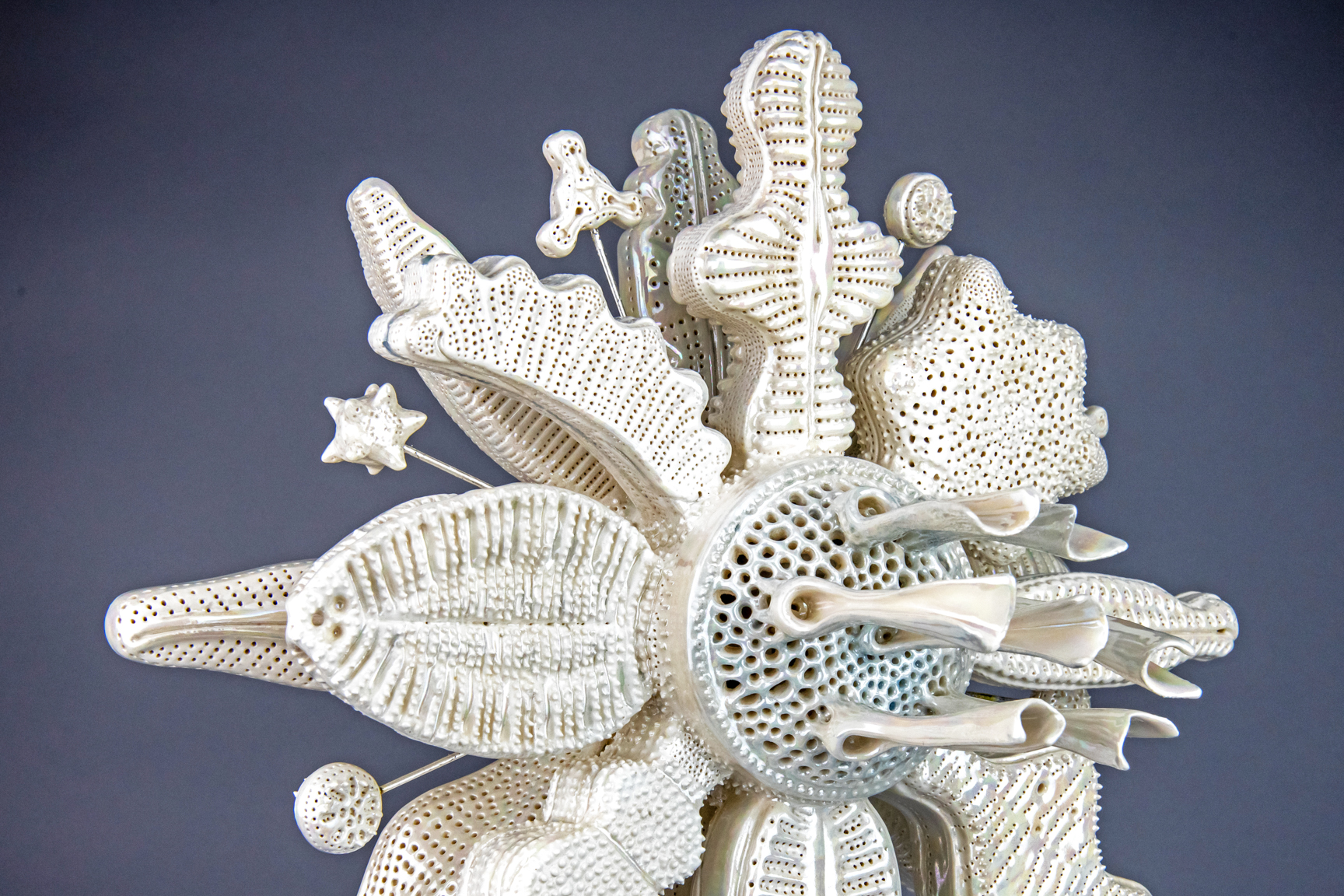 Flourish: View B - Diatoms: Matriarchal Homage by Marguerita Hagan