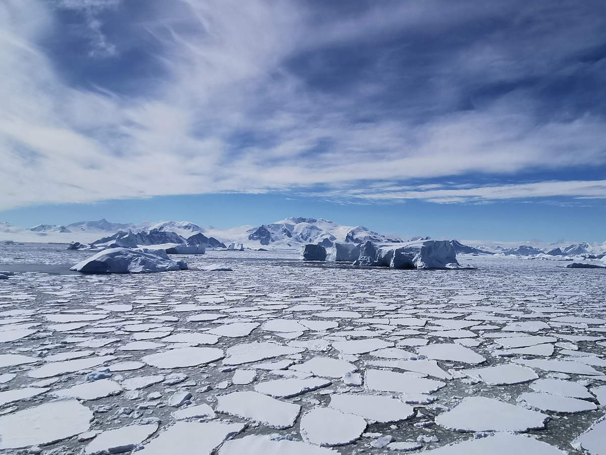 Arctic ice sheet