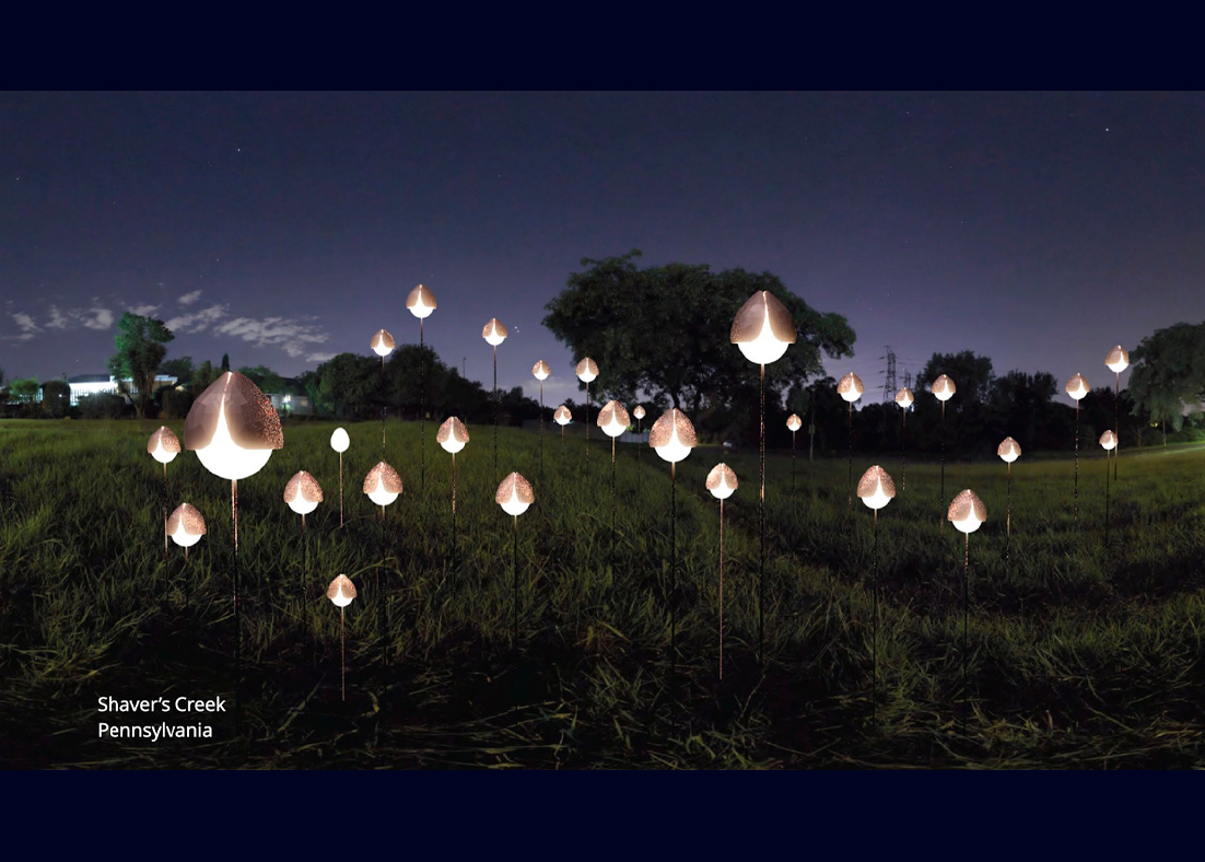 A rendering of solar lights along Shaver's Creek. 