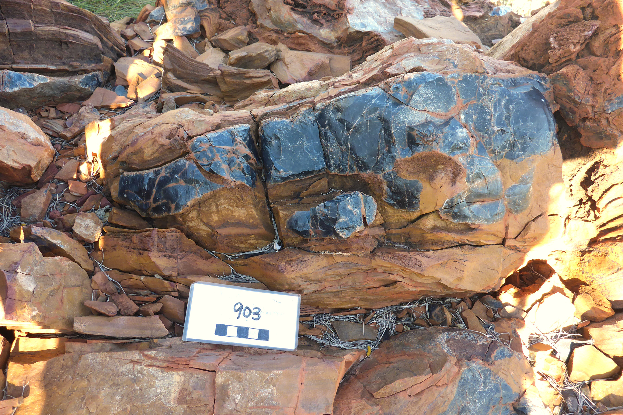 Shiny, black, microcrystalline chert in an outcrop. 