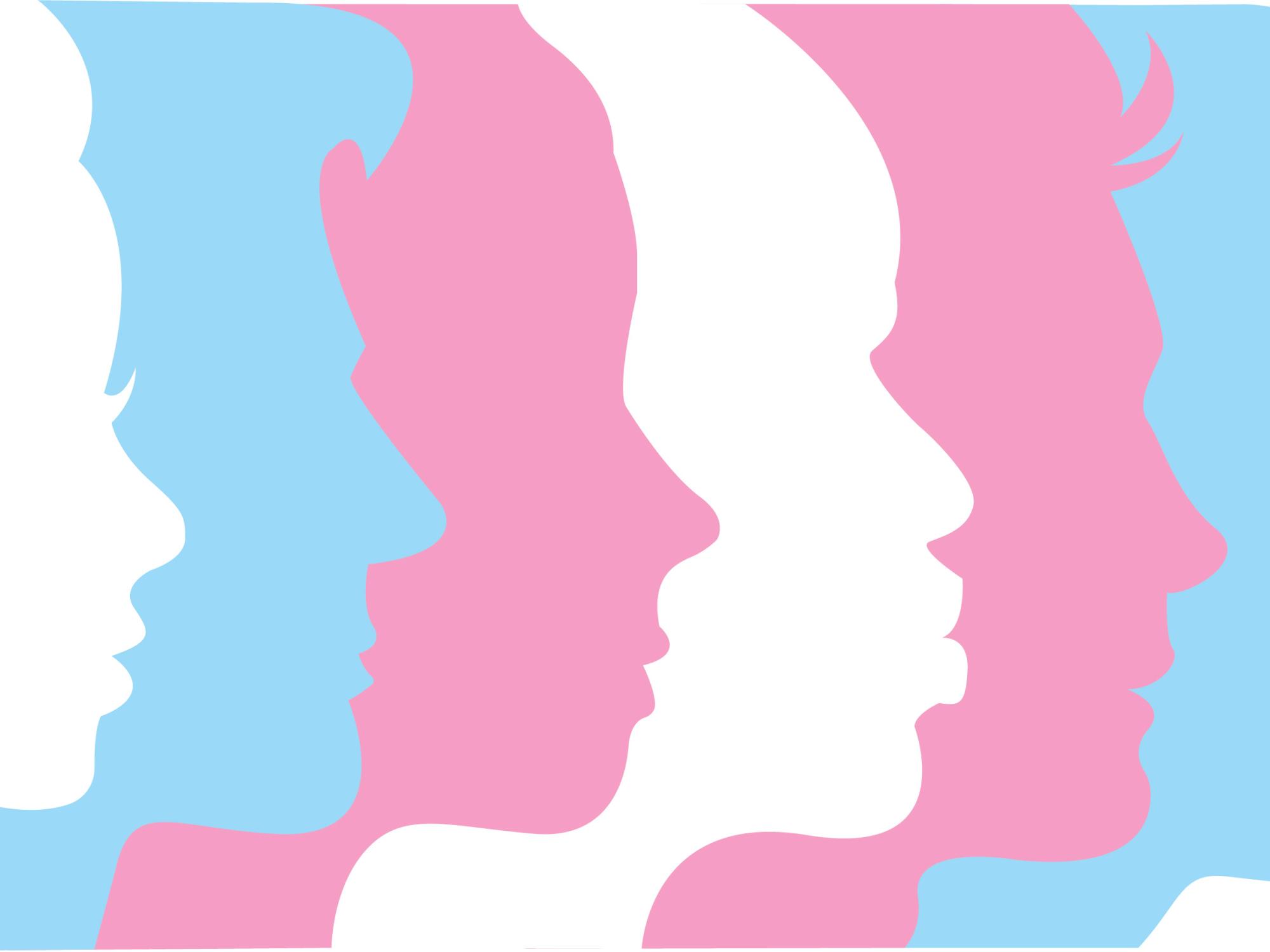 a graphic depicting a series of silhouettes using the colors of the transgender pride flag