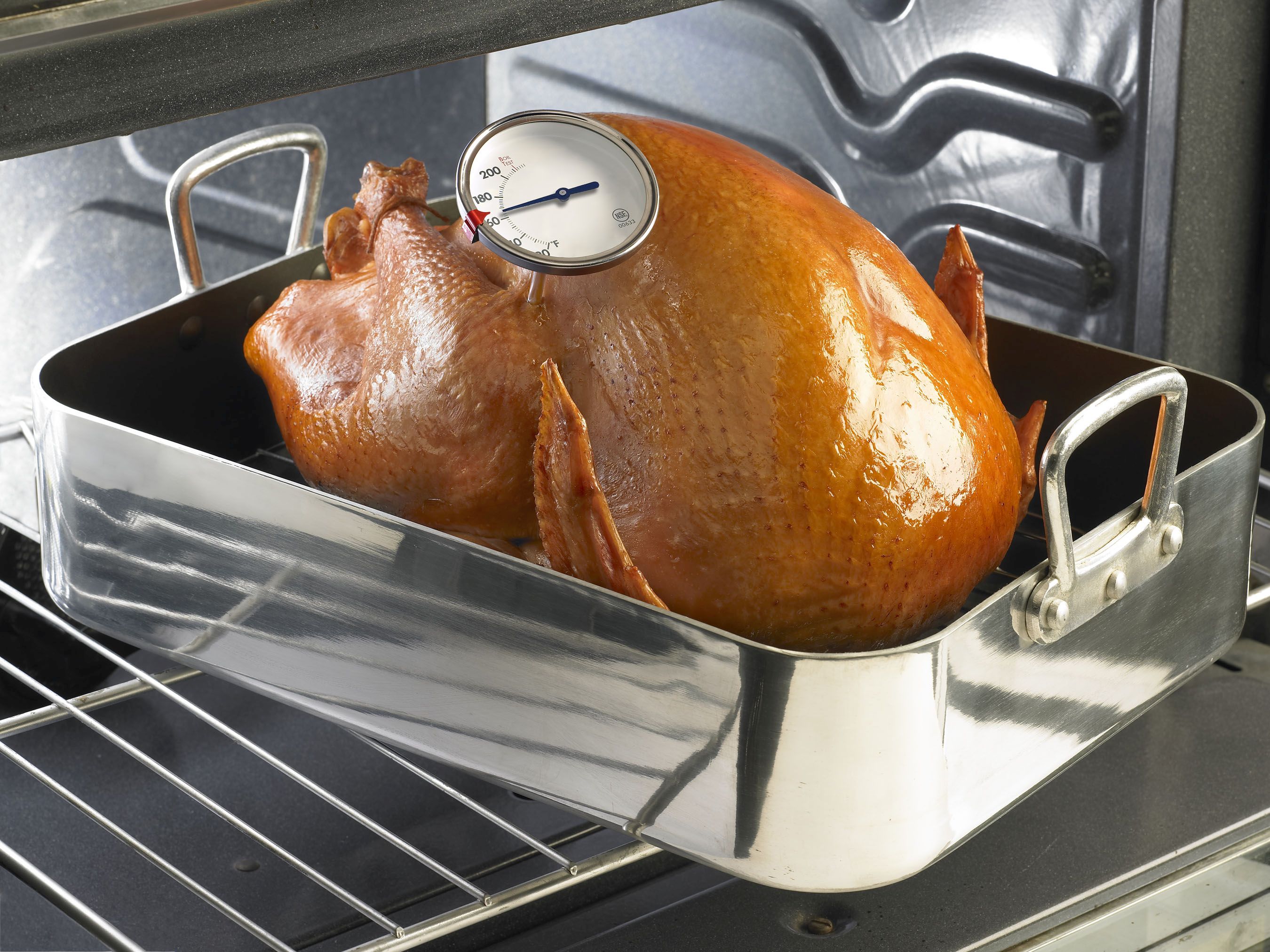 A turkey with an implanted meat thermometer