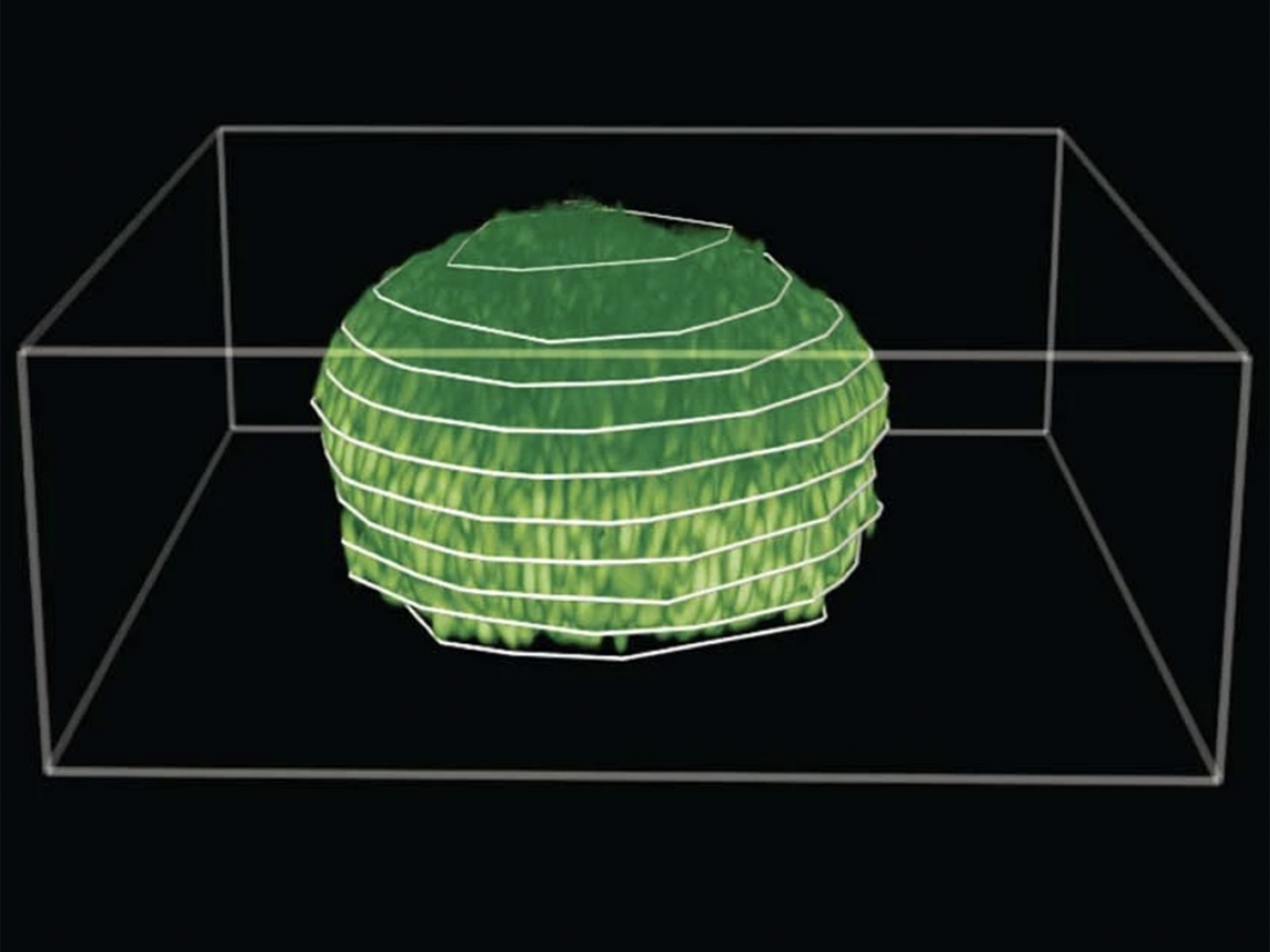 A 3D digital rendering of a biofilm