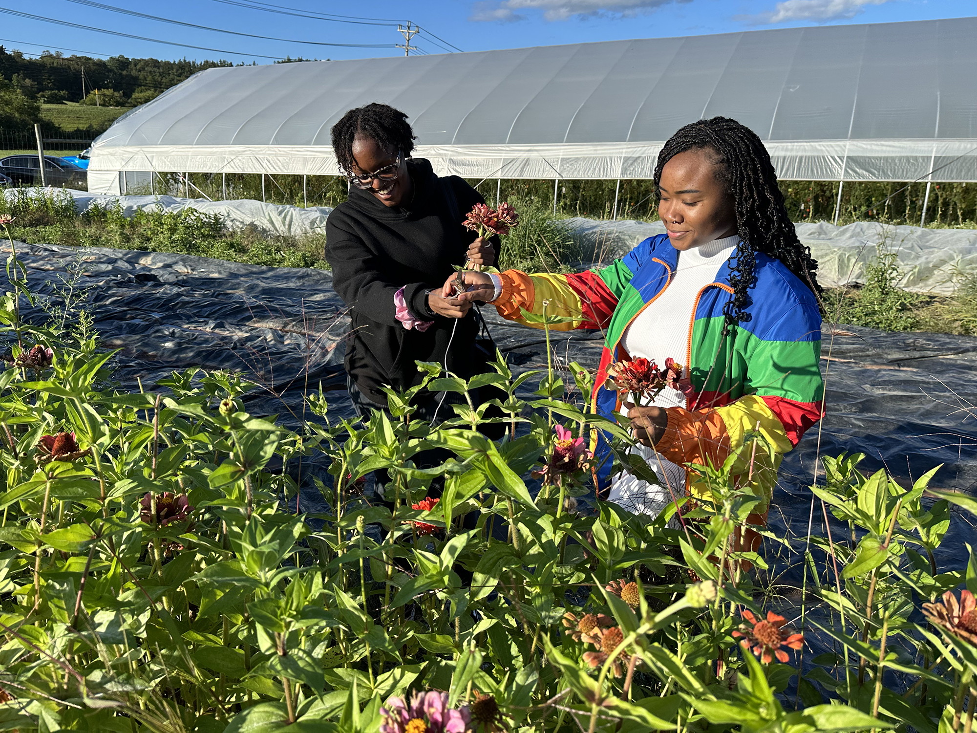 Two students picking flowers