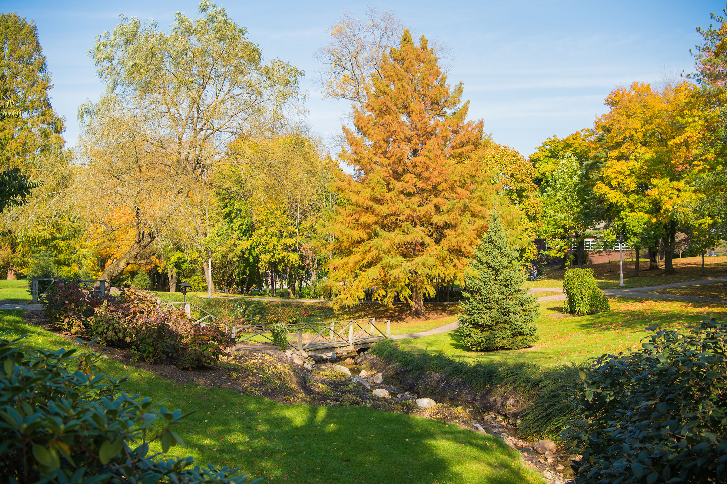 Fall leaves on trees changing color on the Behrend campus