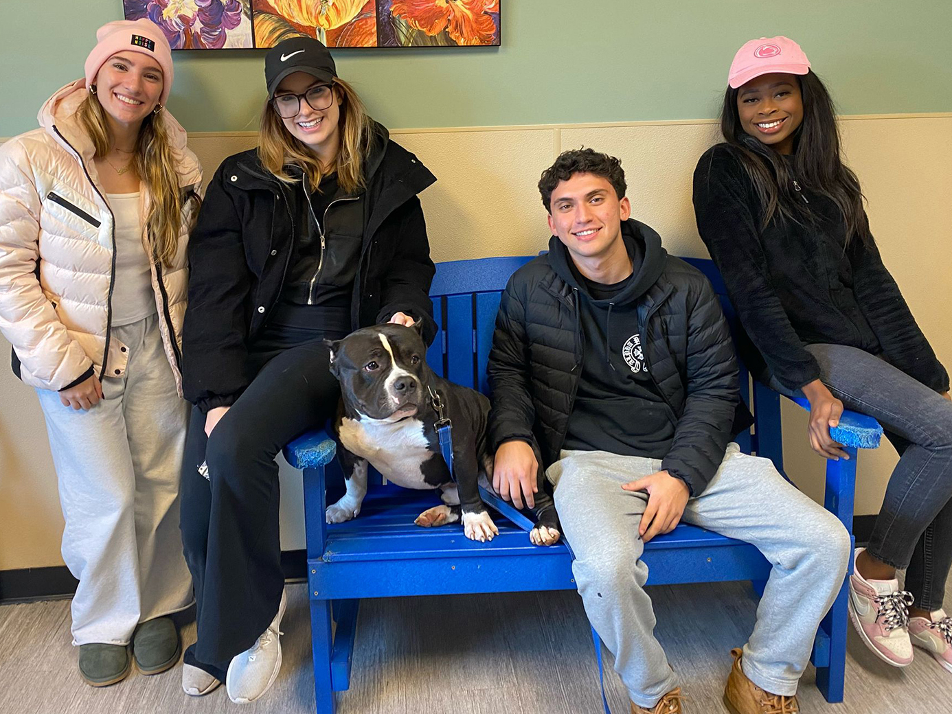 Three female students and a male student pose with a dog sitting on a blue bench.