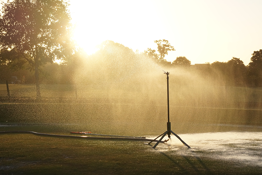 Lawn sprinkler at dawn