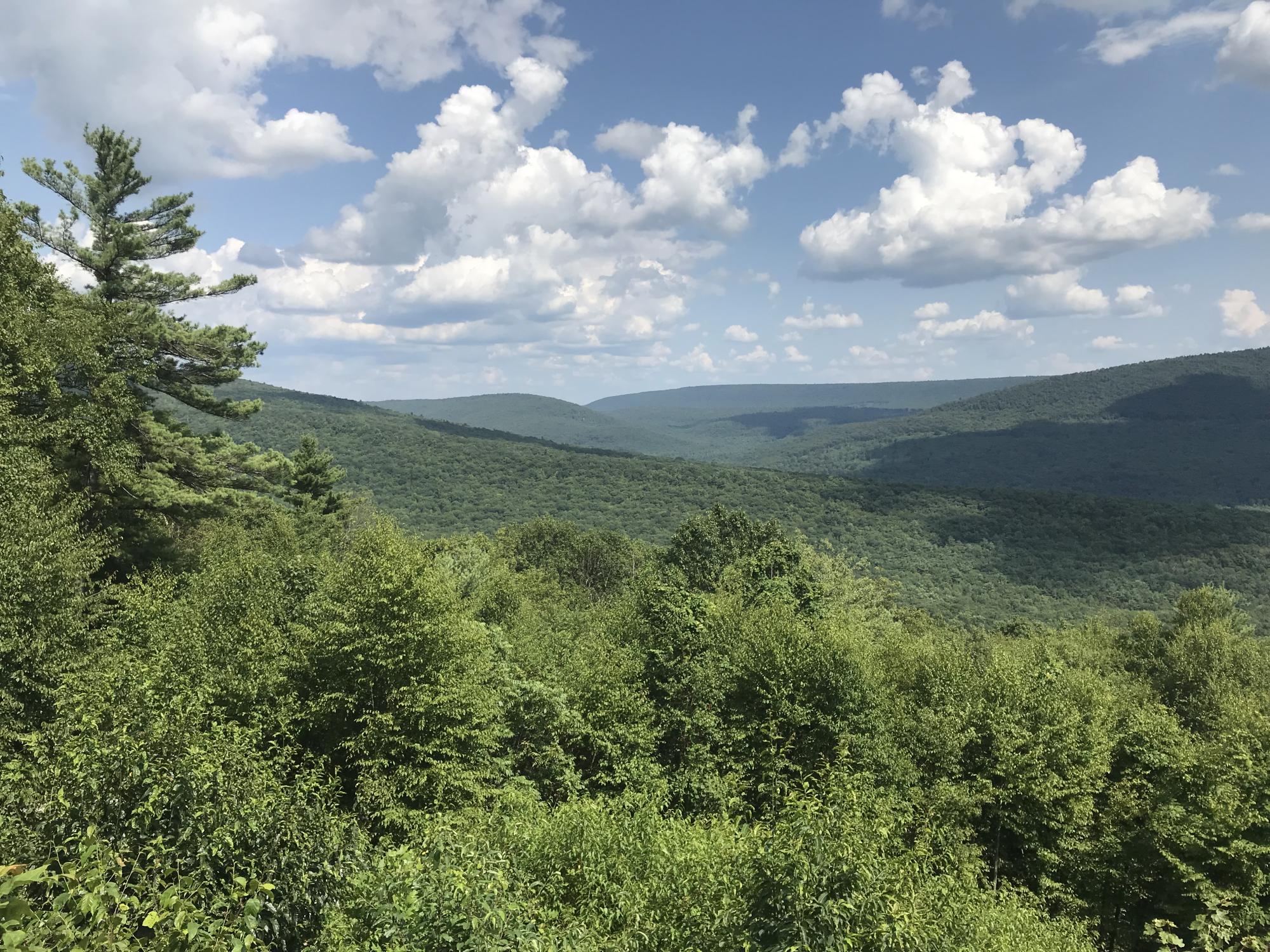 A forested ridge