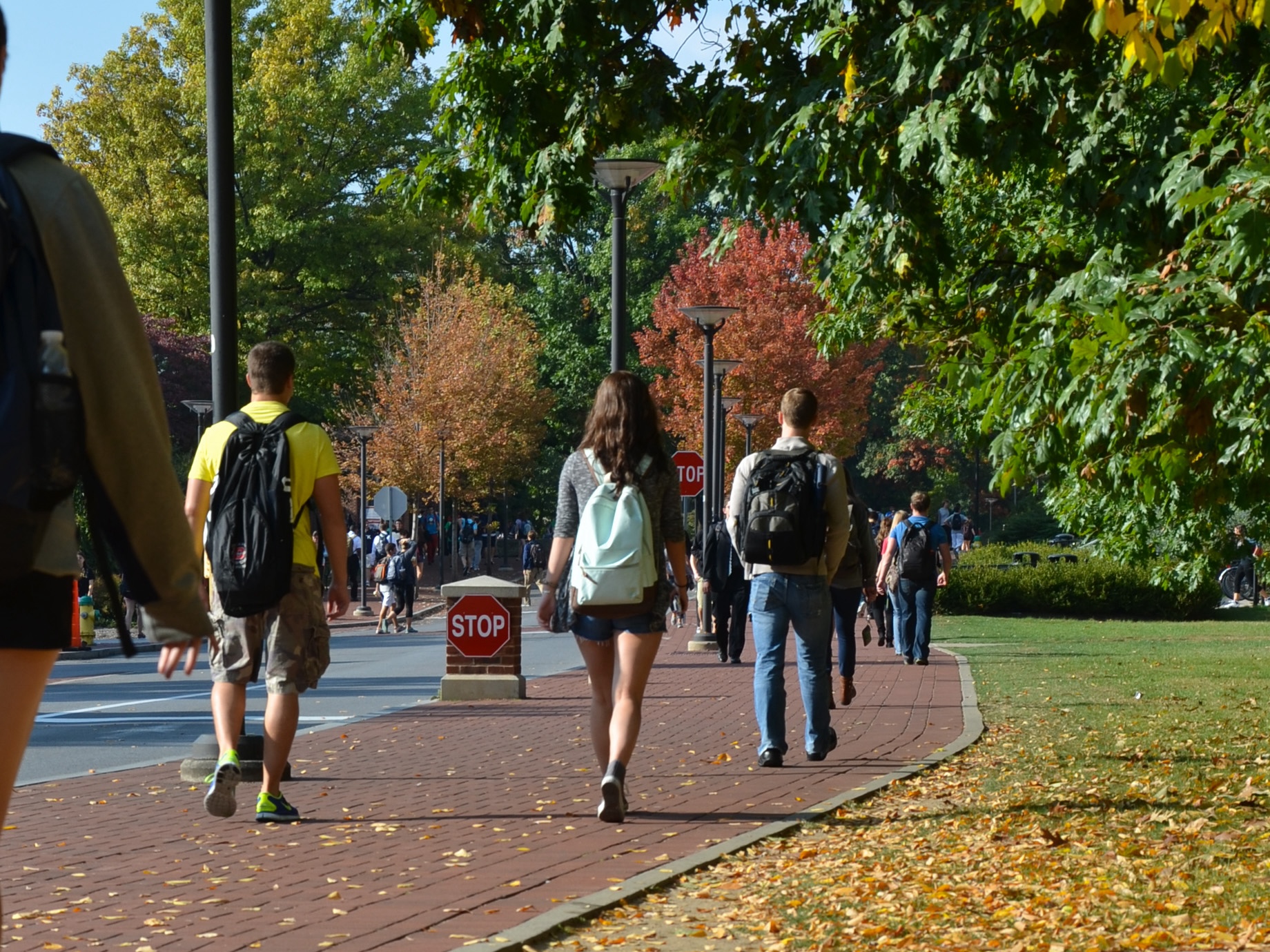 Students walking on campus