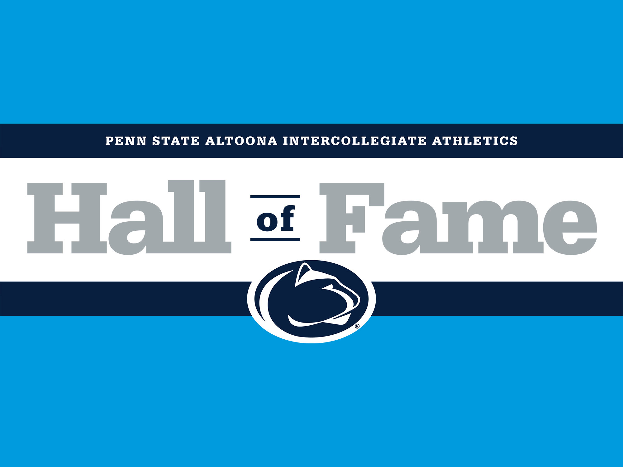 Hall of Fame banner