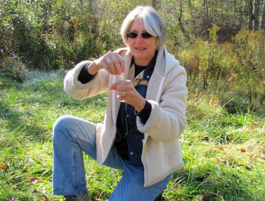 Penn State Extension Master Watershed Steward volunteer Cindy Rogers performs a water testing