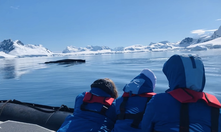 Three people looking at a whale while riding in an inflatable boat in Antarctica