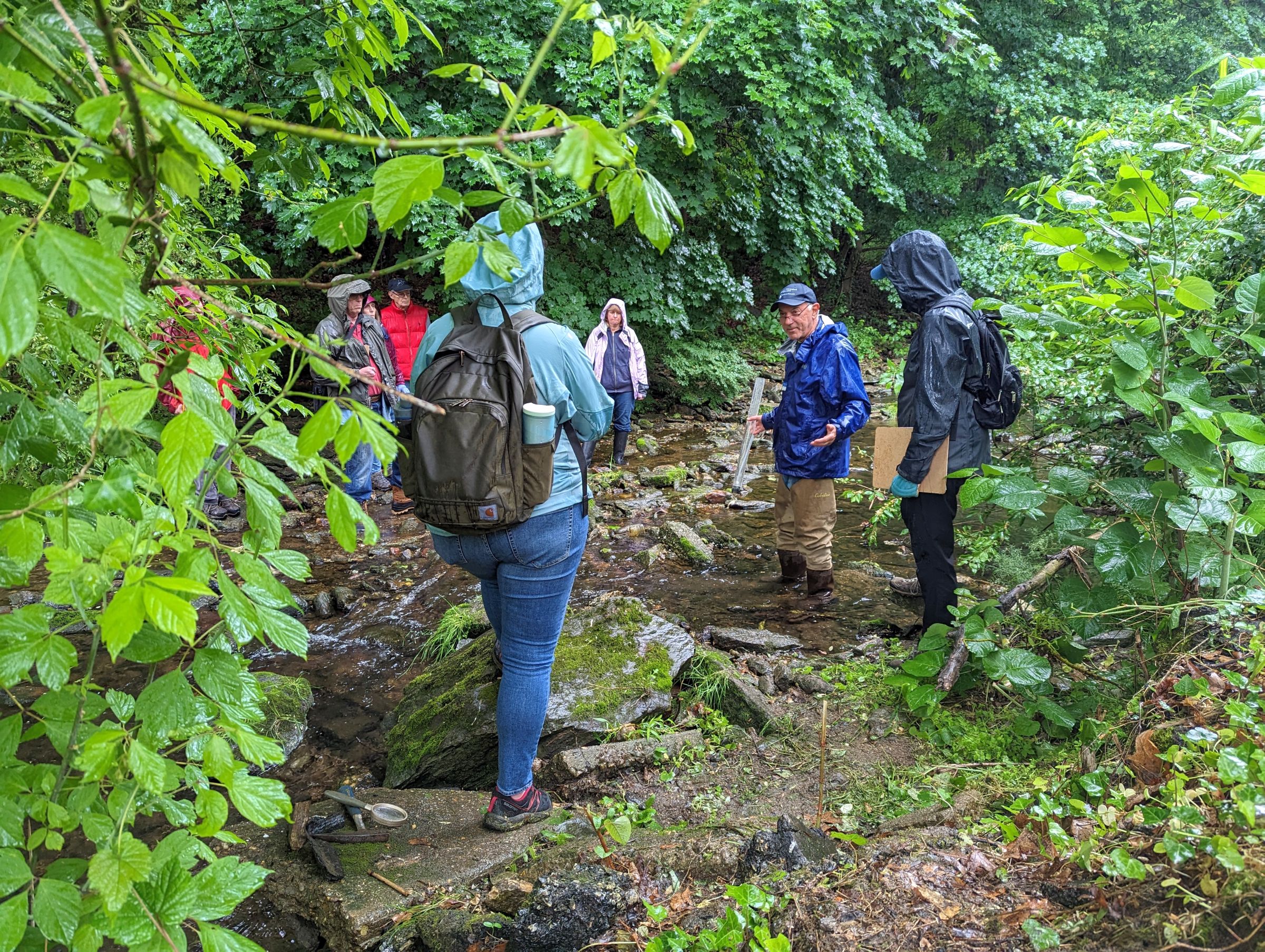 Master Watershed Steward Robert Pace instructs fellow volunteers in a stream