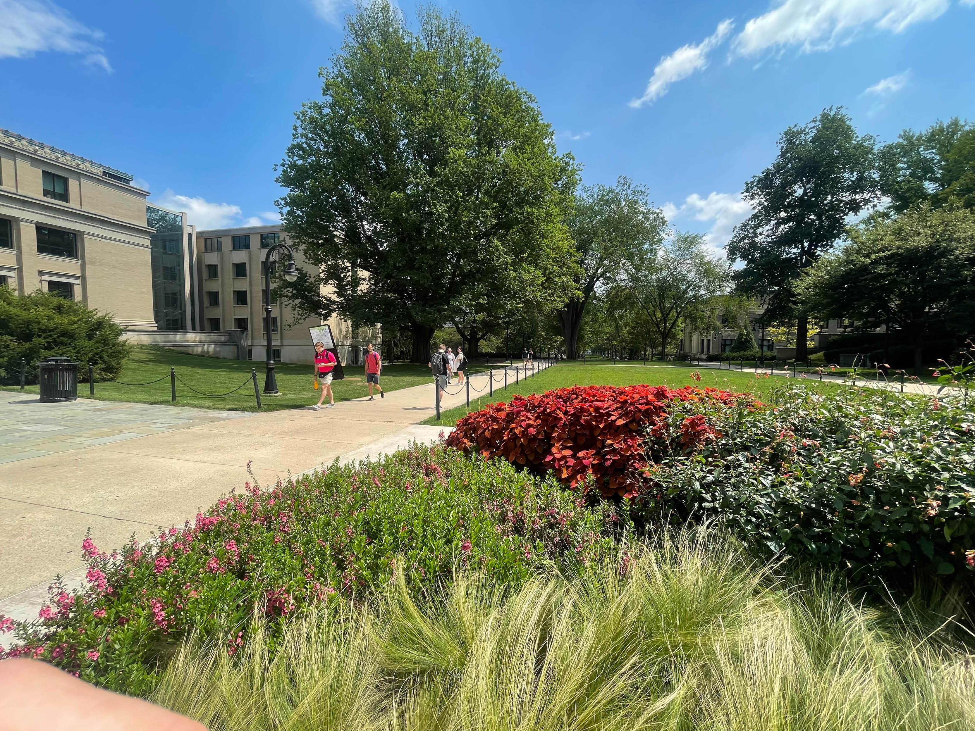 Pattee Mall in springtime