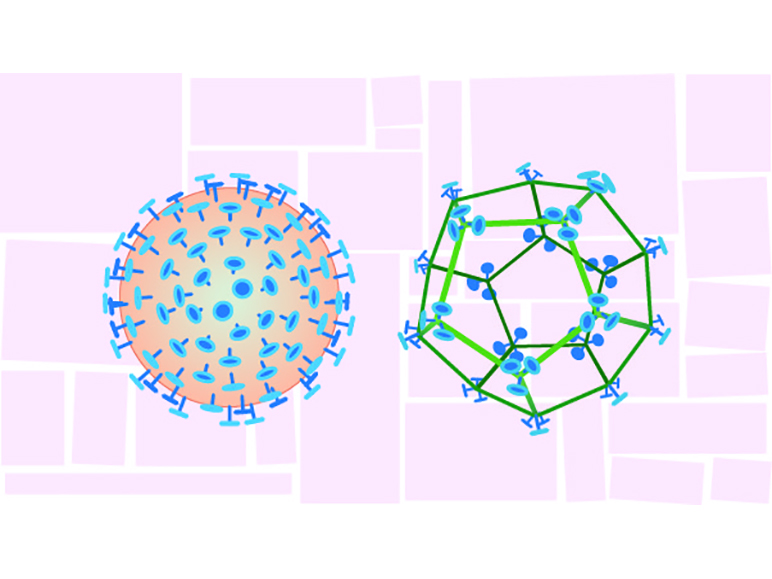 Illustration showing SpyCage nasal vaccine platform (right) next to SARS-CoV-2 virus