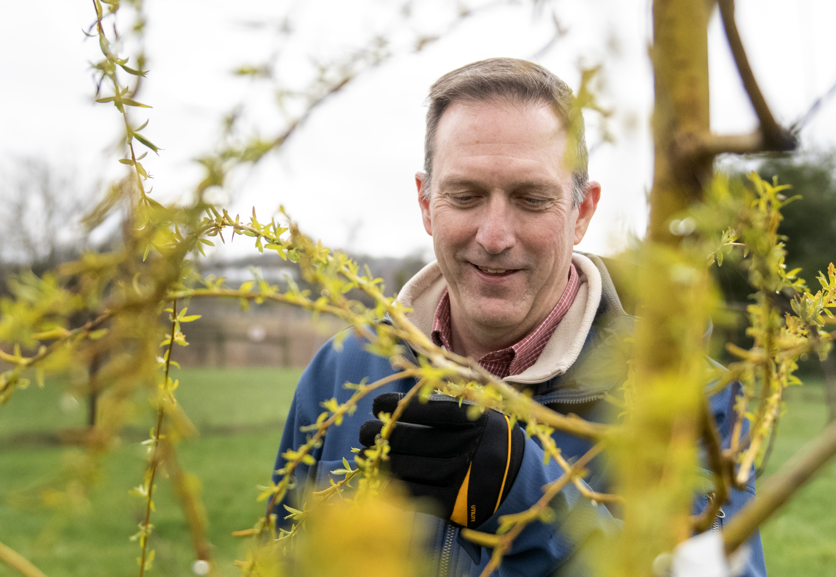 Tom Flynn with new willow