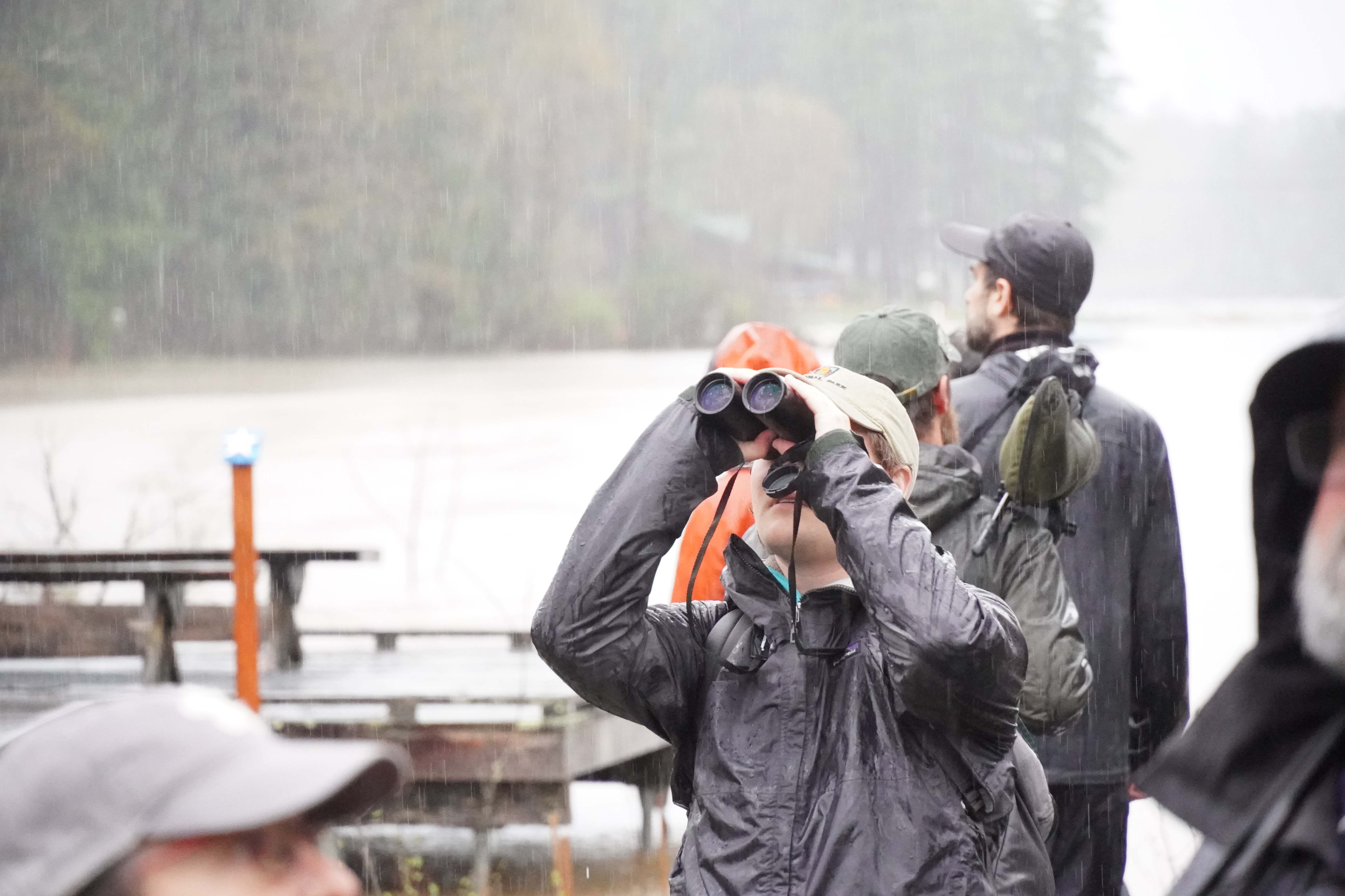 Birder holding binoculars looks at the sky