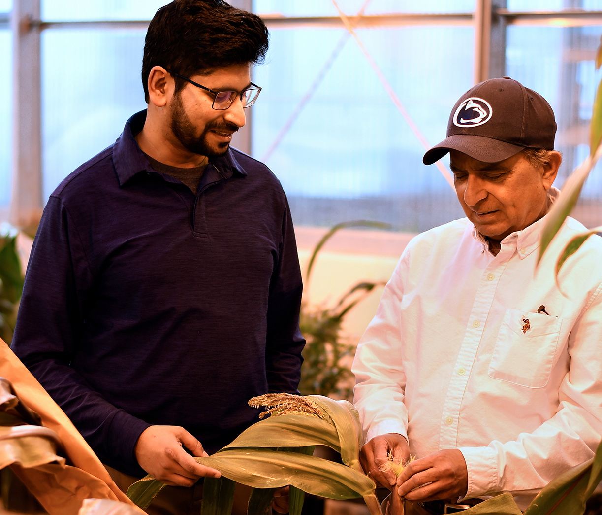 Two people holding corn