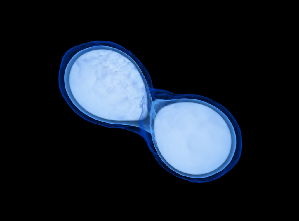 Volume rendering of simulation of two neutron stars merging.