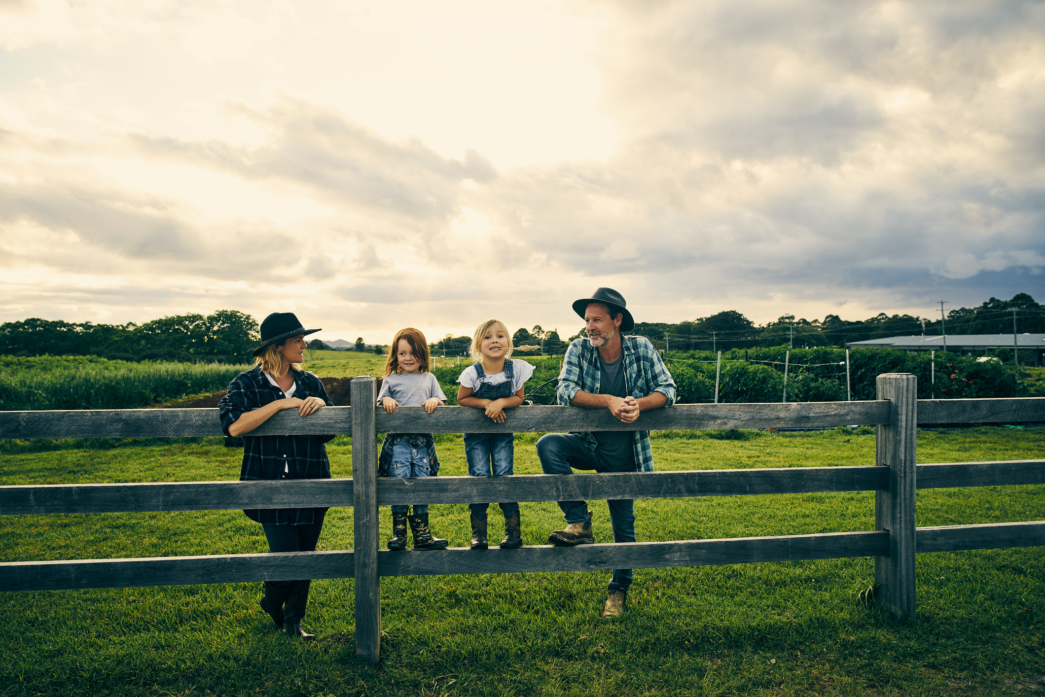 kids on a fence