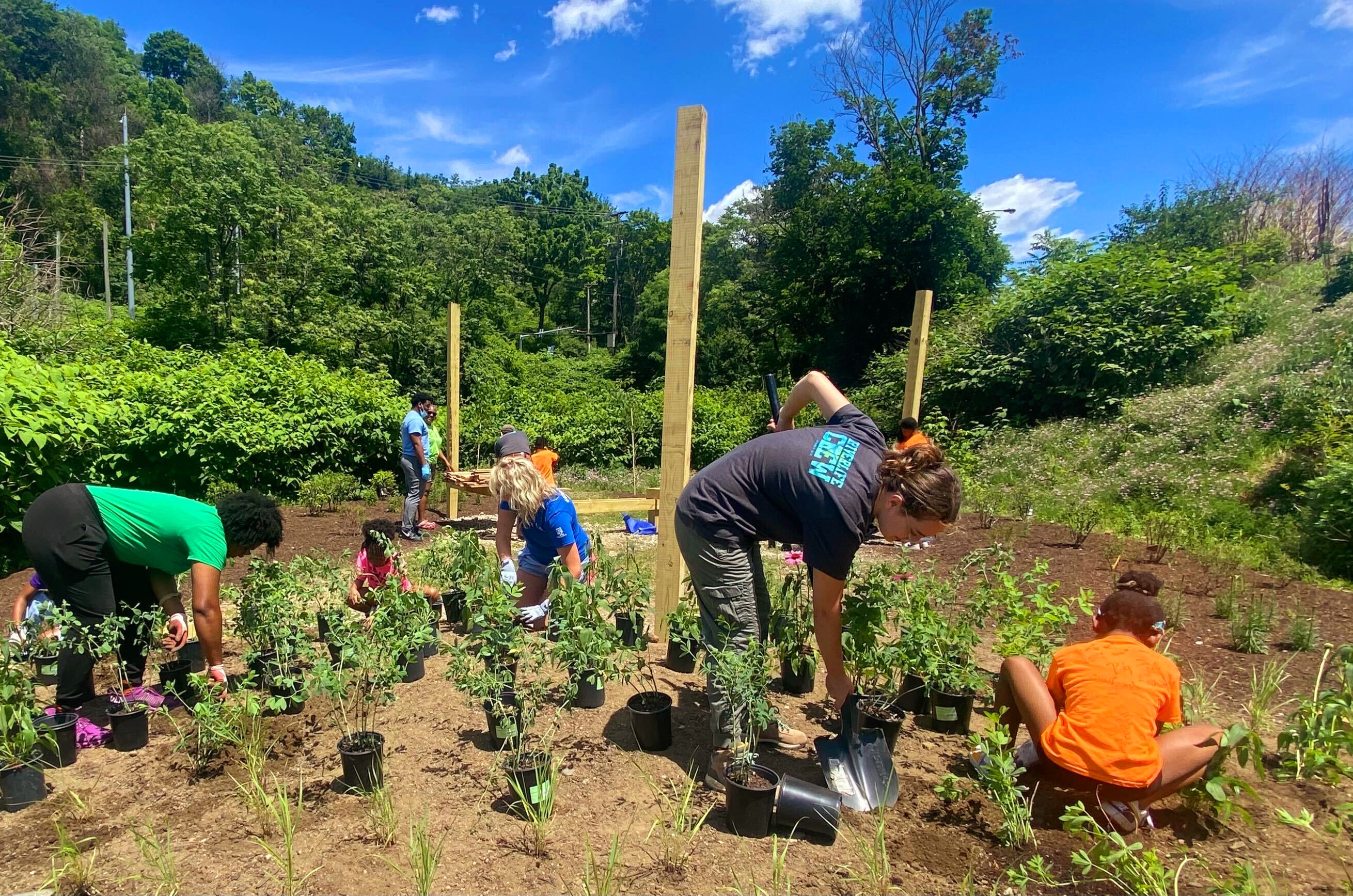 Adults and children working in a garden on a sunny day.