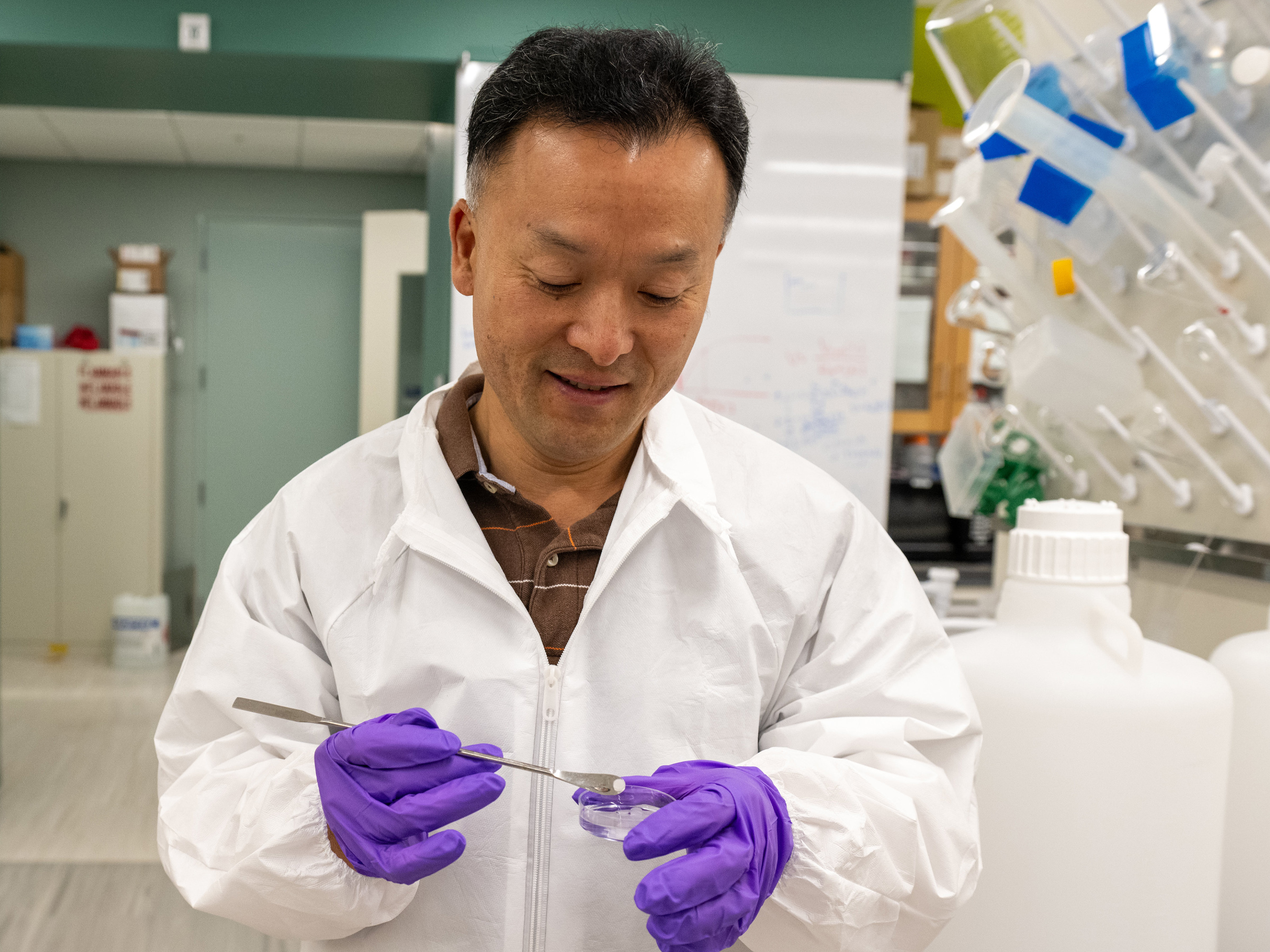 A person in a white lab coat and purple gloves examines a sample in a Petri dish  