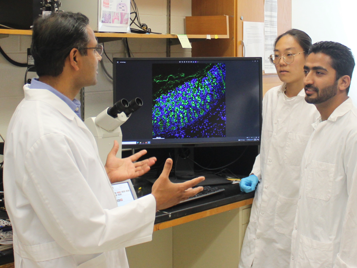 Vishal Singh explains a bacteria on a computer screen to two of his graduate assistants.