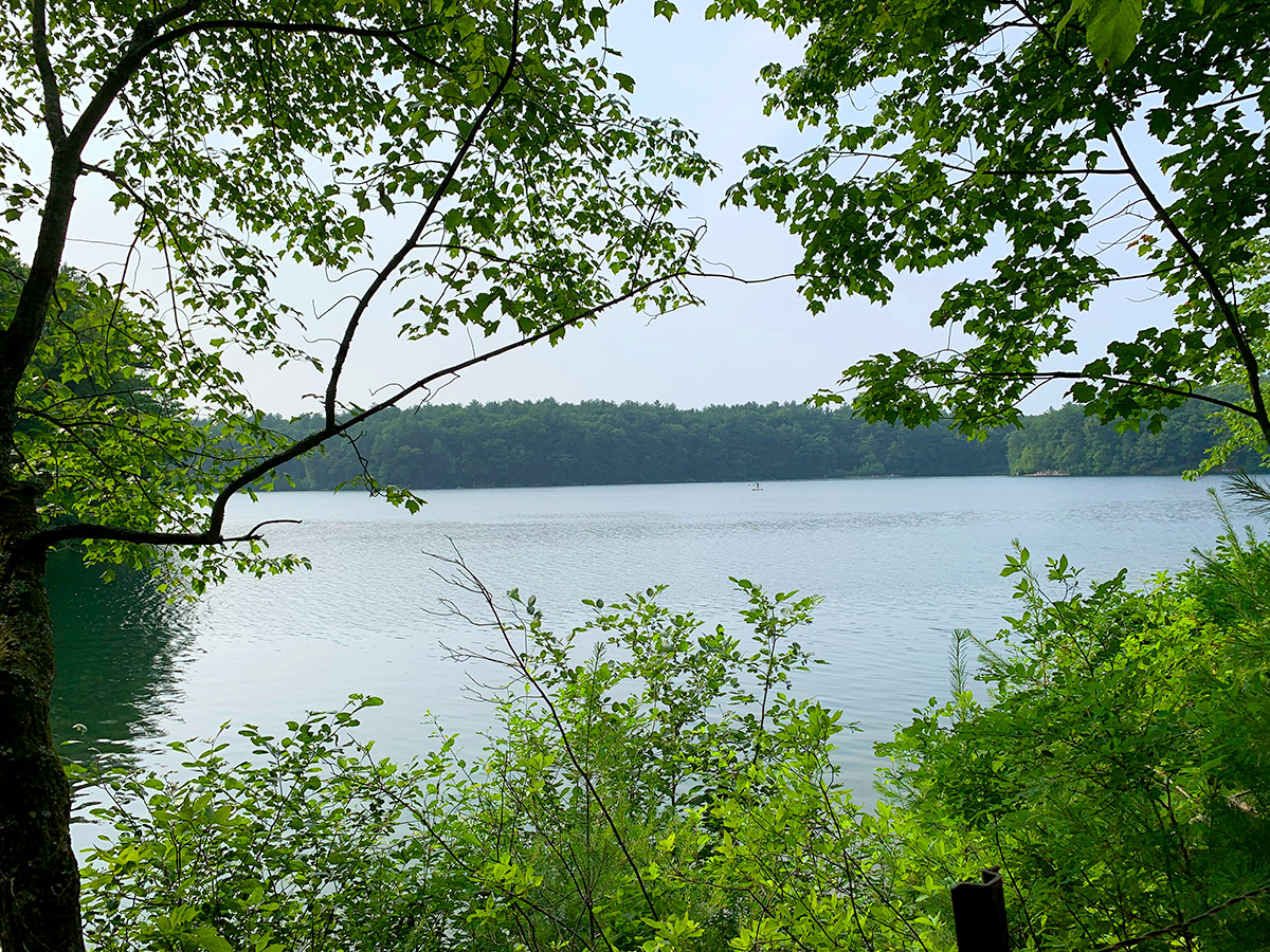 Looking out over Walden Pond