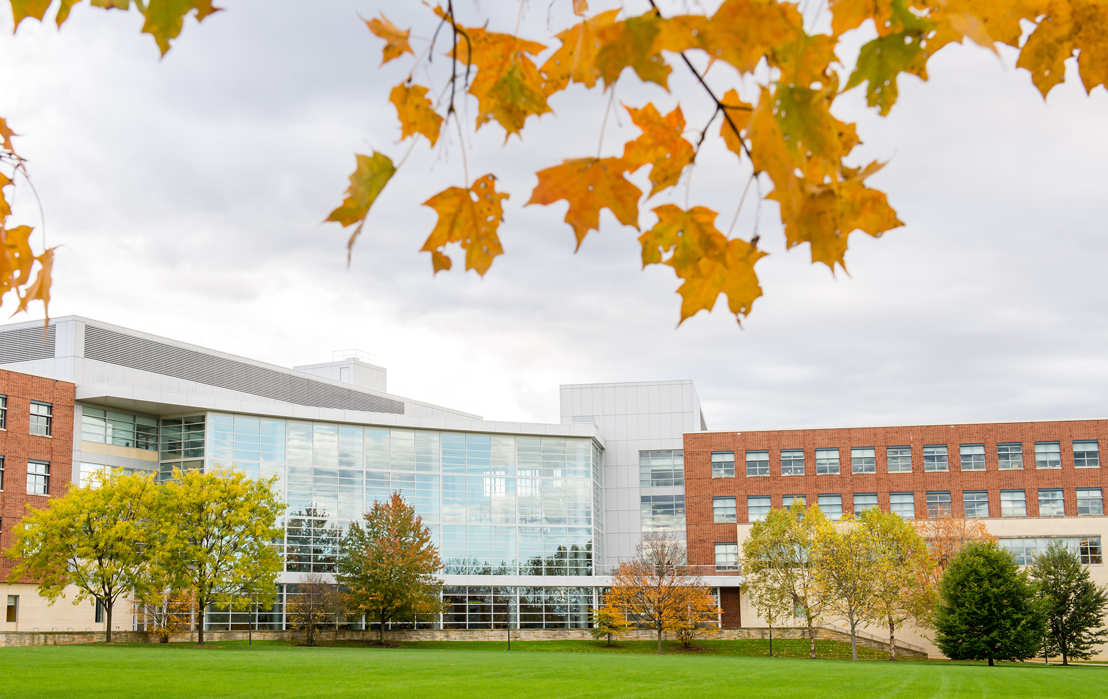 A photo of the Business Building in the fall, with oranges leaves in the foreground