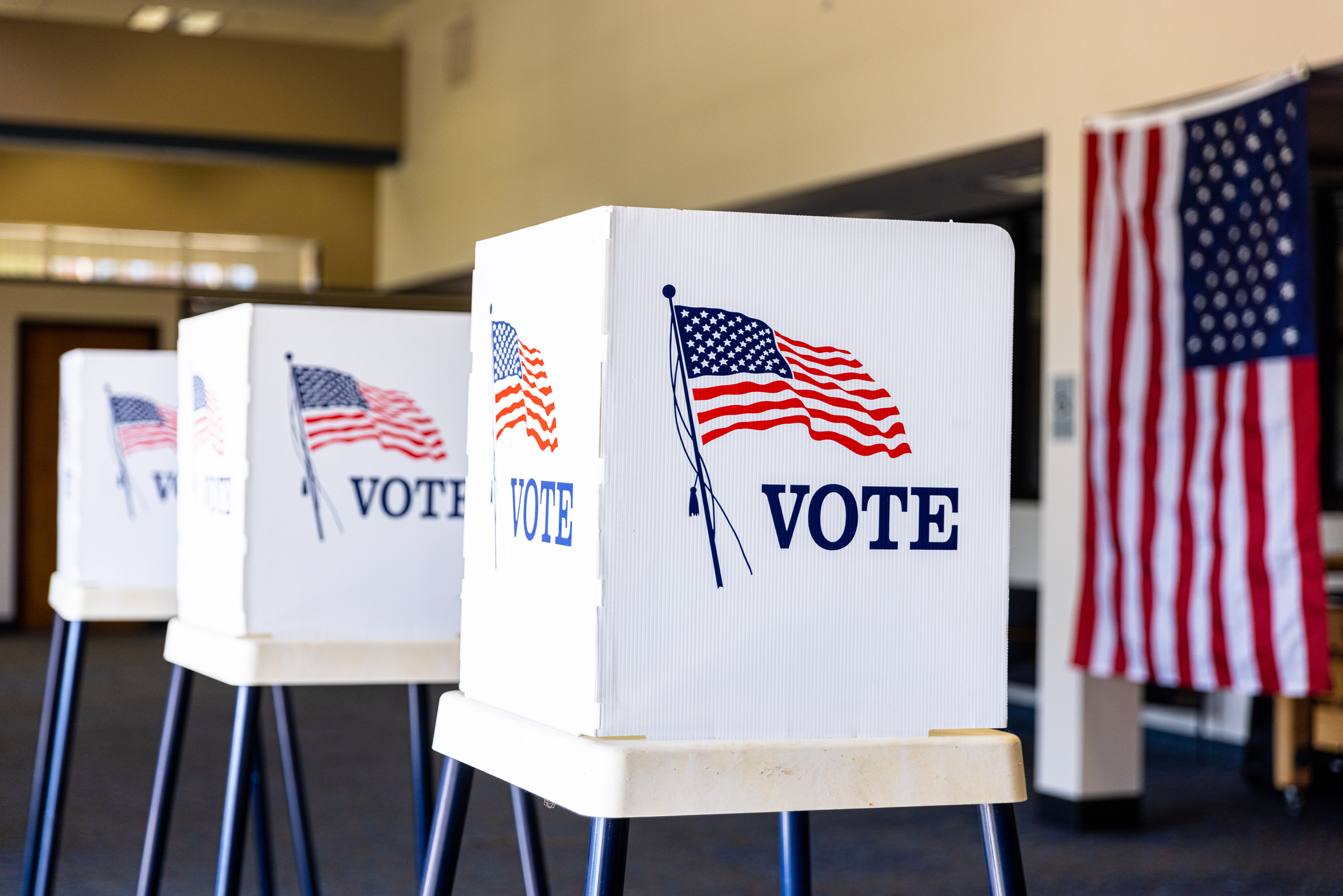 Voting booths set up in rows