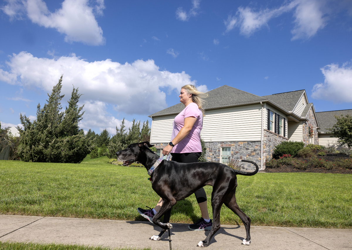 A woman walks her dog on a sidewalk on a sunny day. A house is in the near background.